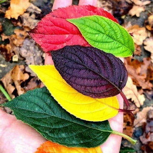 Hayatın Özel Anları