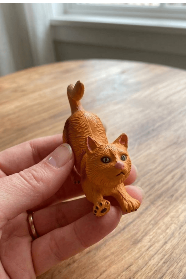 Mini Kedi Biblosu