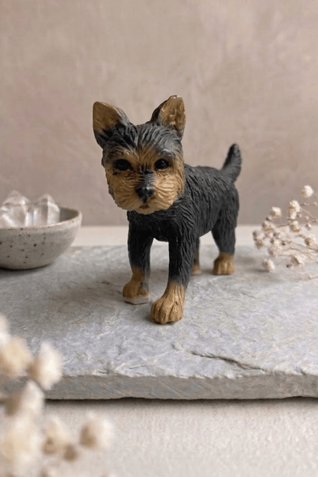 Siyak köpek biblosu