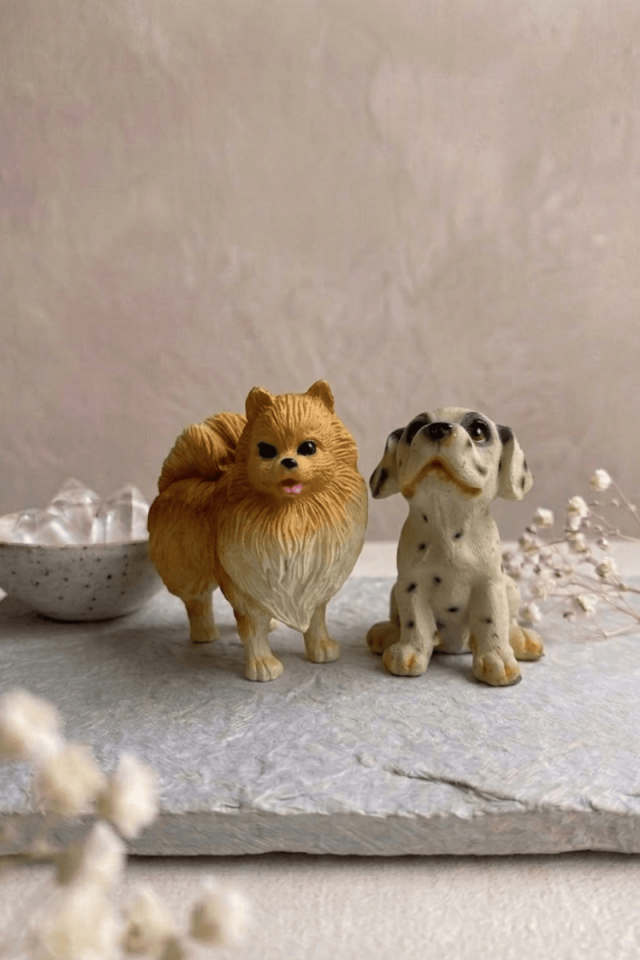 Kedi & Köpek biblosu çift