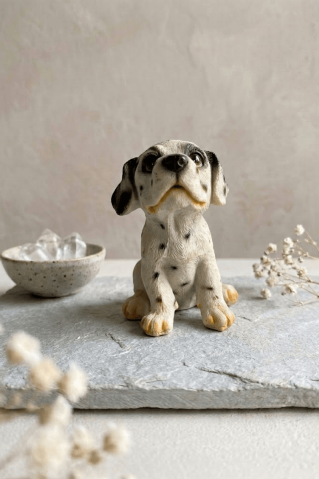 Köpek biblosu