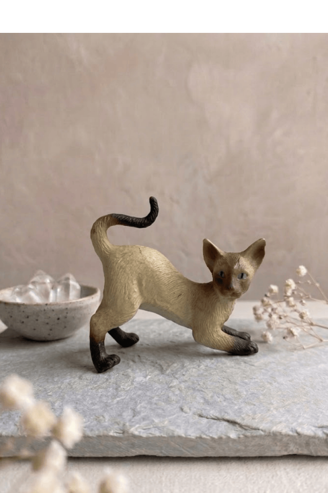 Köpek Biblo