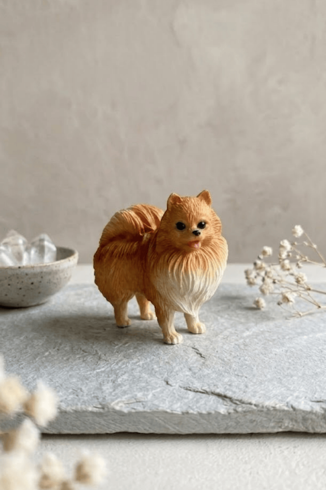Köpek Biblo