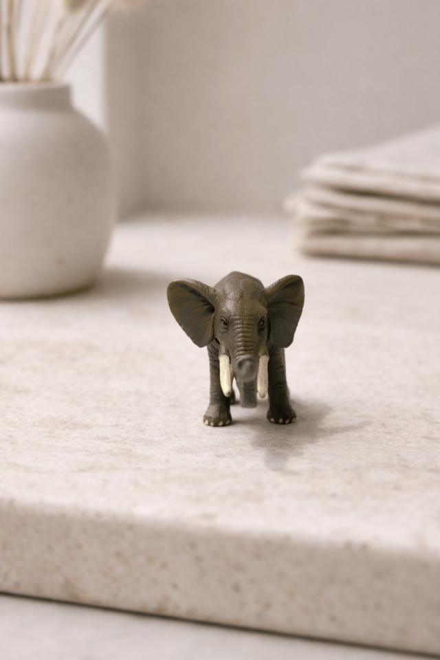 Mini fil biblo