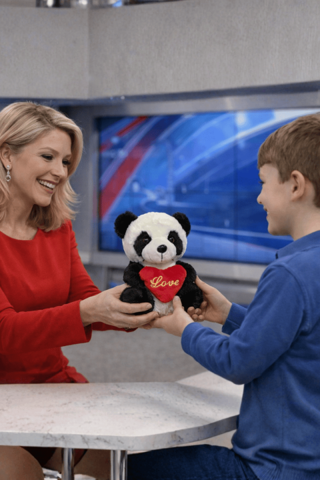 Peluş Panda Ayıcık (30cm)