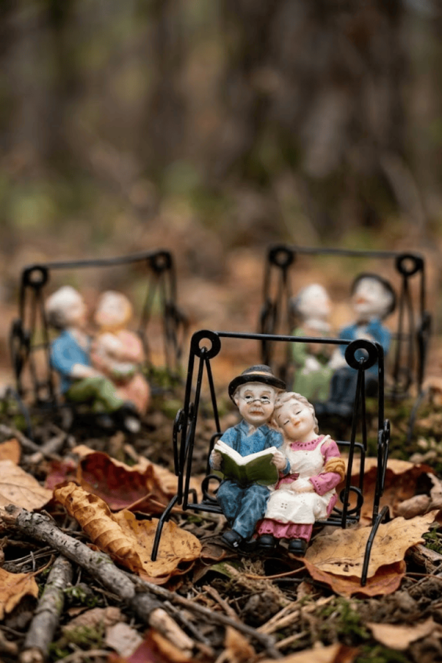 Salıncaklı Yaşlı Çift