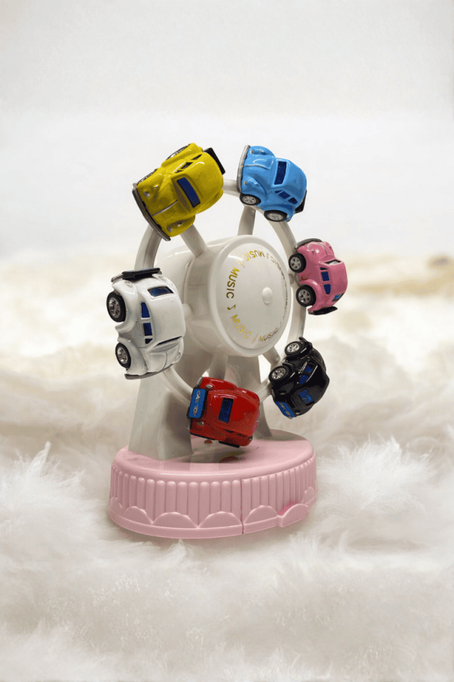 6 Vosvoslu Dönme Dolap Müzik Kutusu