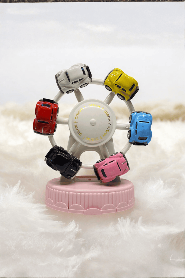 6 Vosvoslu Dönme Dolap Müzik Kutusu