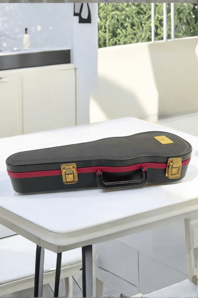 Keman Müzik Kutusu Büyük Resim