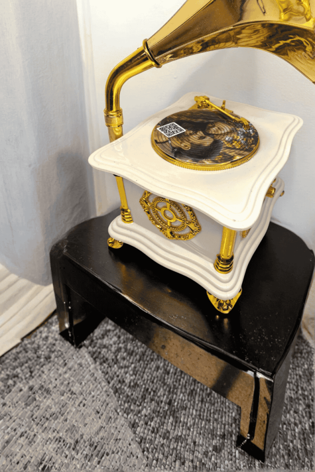 Kişiye Özel Gramofon Müzik Kutusu