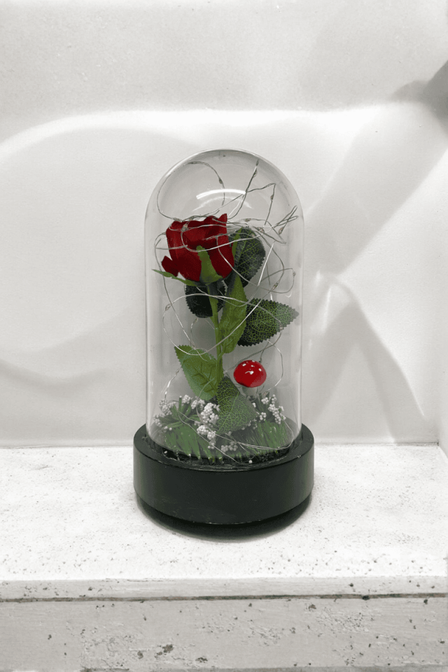 Fanus İçerisinde Kırmızı Gül Işıklı