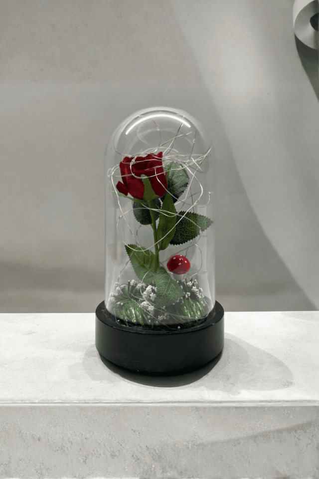 Fanus İçerisinde Kırmızı Gül Işıklı