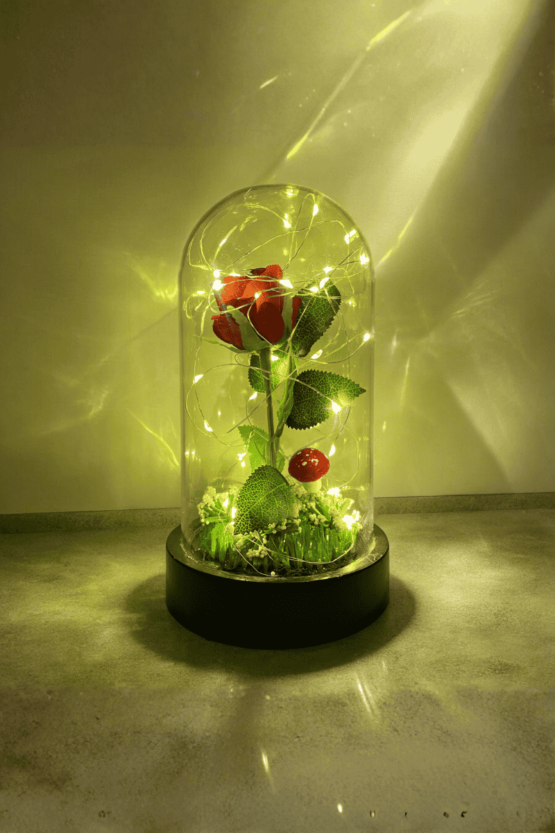 Fanus İçerisinde Kırmızı Gül Işıklı