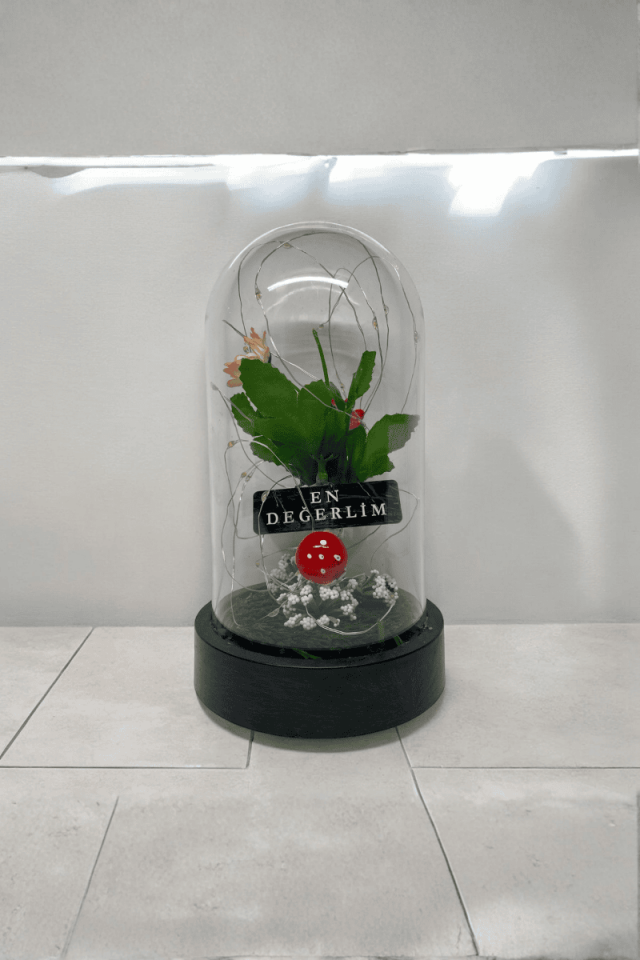 Papatyalı Led Fanus