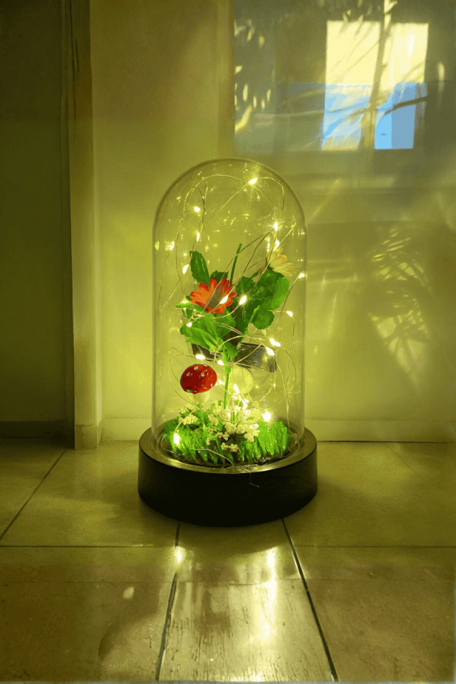 Papatyalı Led Fanus