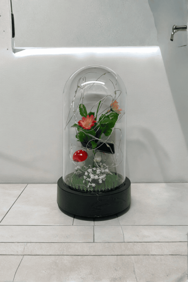 Papatyalı Led Fanus