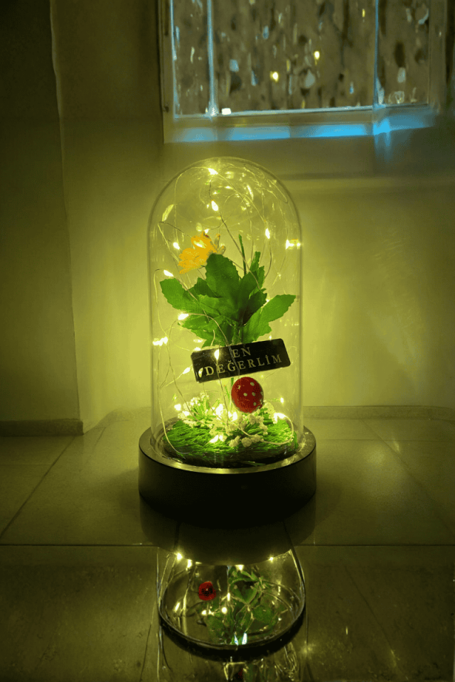 Papatyalı LED Fanus