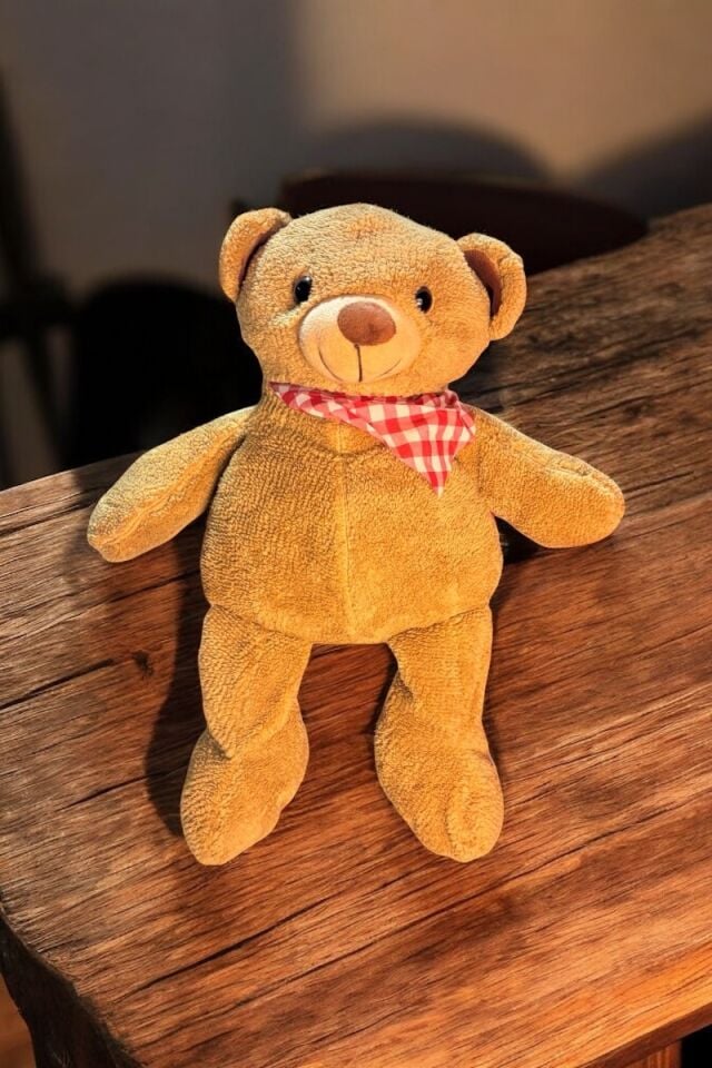 Resimli Peluş Ayıcık