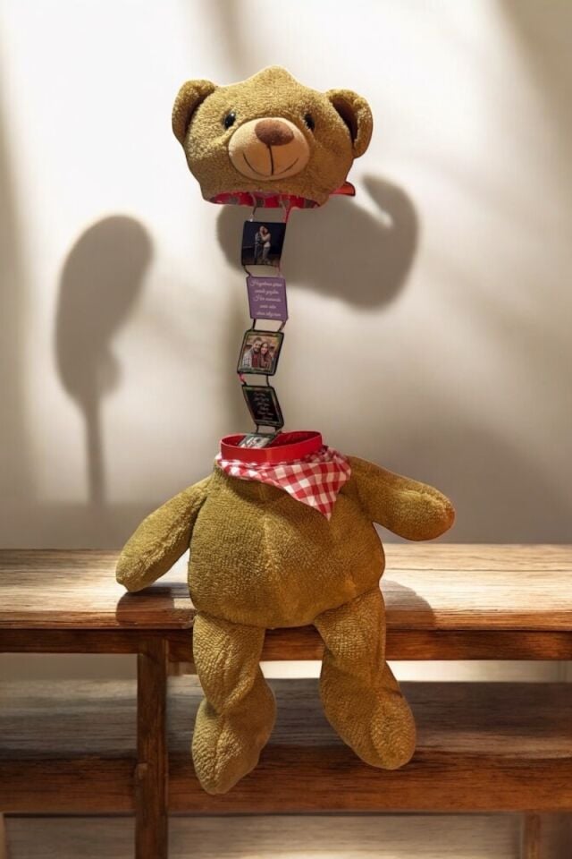 Resimli Peluş Ayıcık