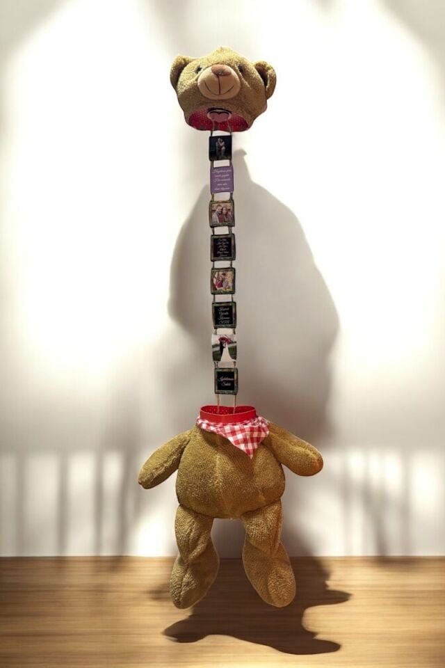 Resimli Peluş Ayıcık