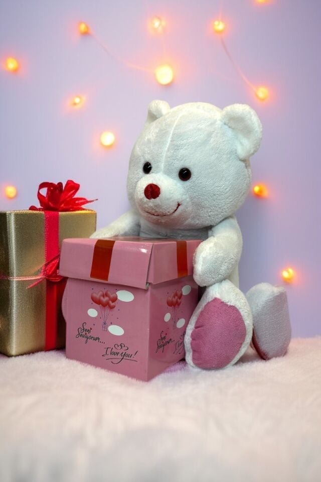 Kutulu Peluş Ayıcık