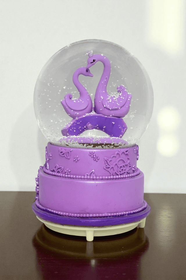 Kar Püskürtmeli Kar Küresi